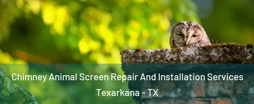  Chimney Animal Screen Repair And Installation Services Texarkana - TX
